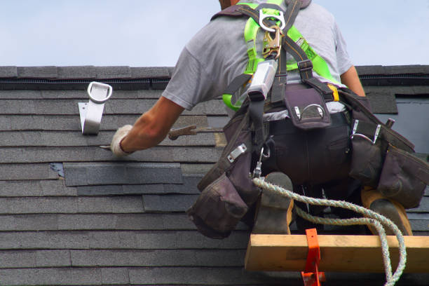 Best Roof Insulation Installation  in USA